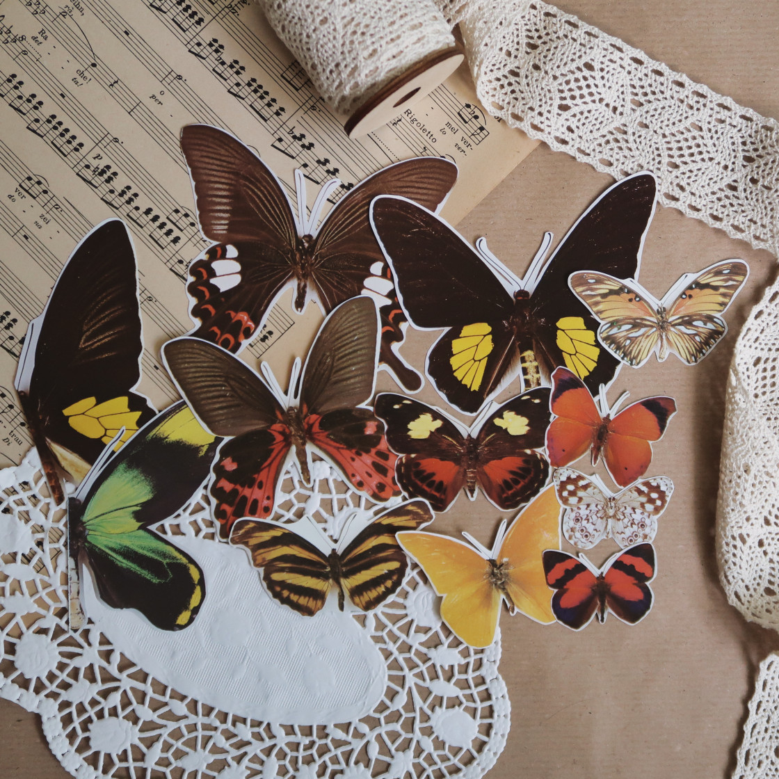 Schmetterlinge I